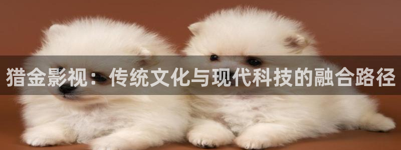 神马电影我不卡电影院八戒午夜