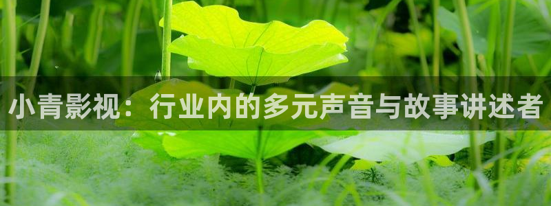 神马达达兔影院