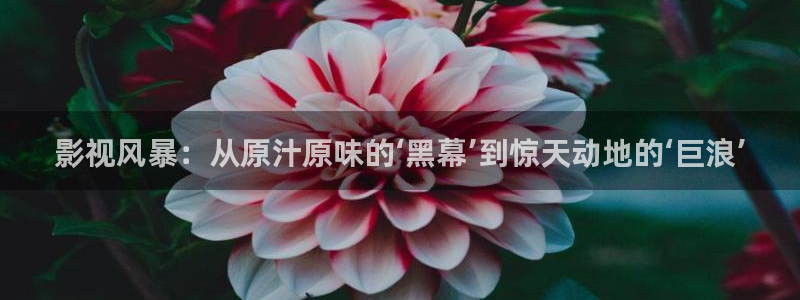神马影院老子影视在线观看
