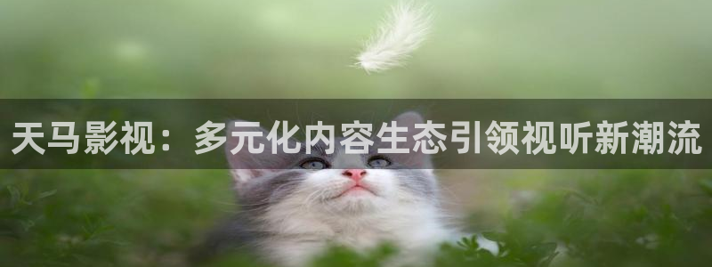 神马影院在线观看视频