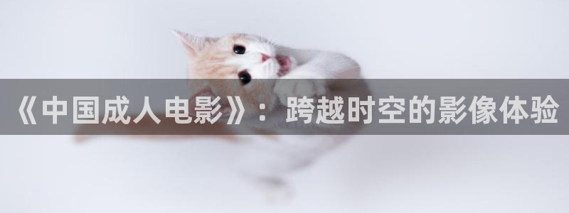 神马库电影