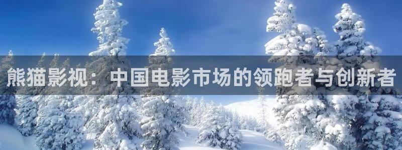 神马电影我不卡伦理