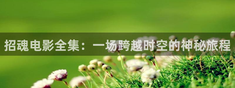 神马影视达达兔亚洲