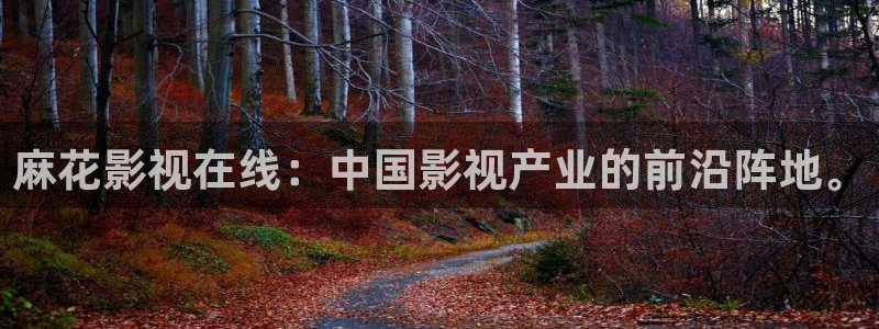 神马电影午夜理论片