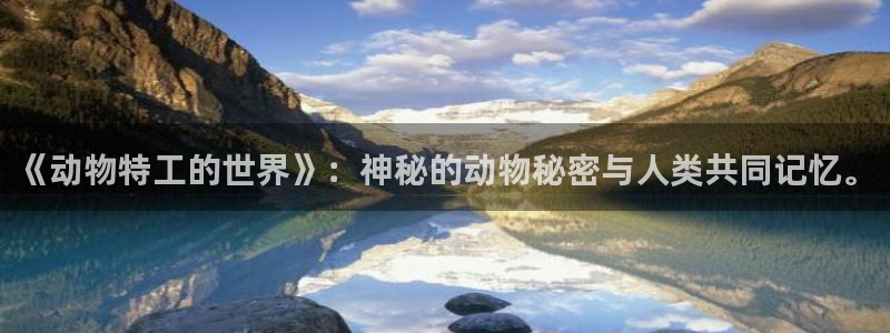 无敌神马影院在线免费
