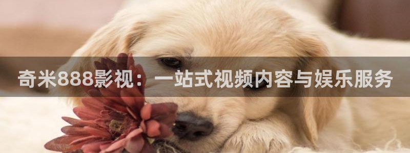 神马电影神马电影神马电影