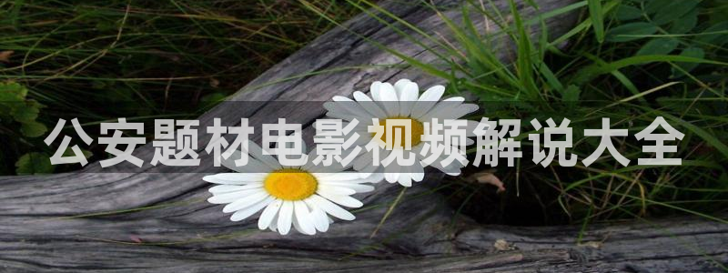 我要看神马影院