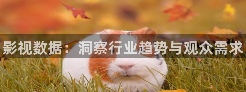 神马电影手机电影在线观看