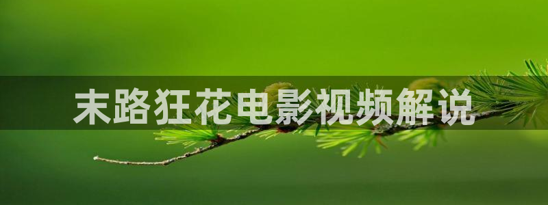 神马影院.
