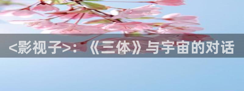 关于神马的电影