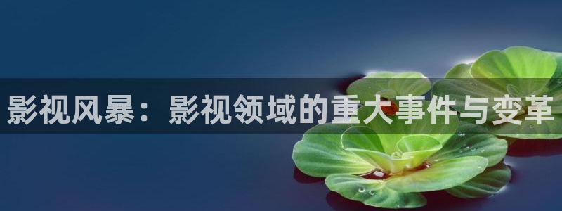 神马电视剧电影在线免费观看