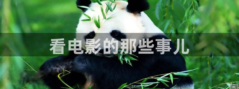 神马电影特片