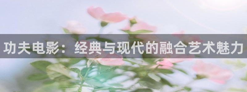 不卡影院神马电影网