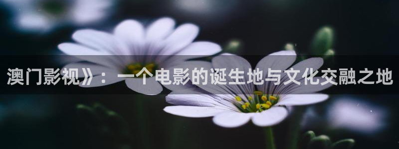 神马的电影