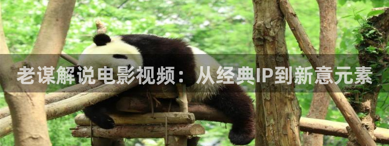 在线观看神马