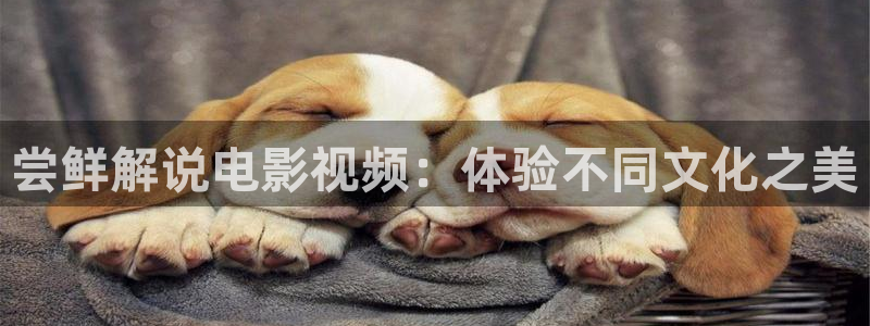 神马午夜电影在线