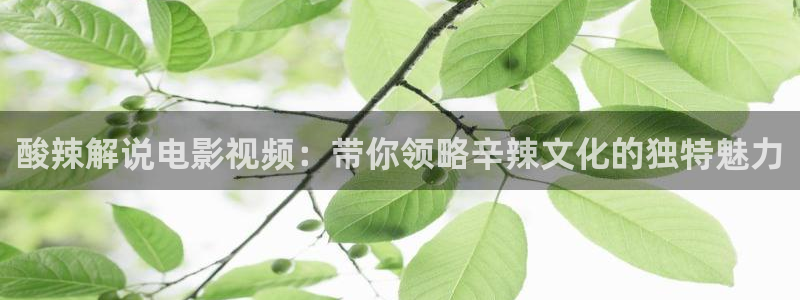 飘雪电视电影网影院神马