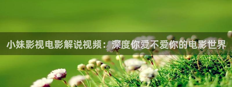 手机电影神马影院