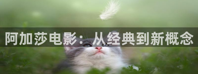花宵道中电影神马