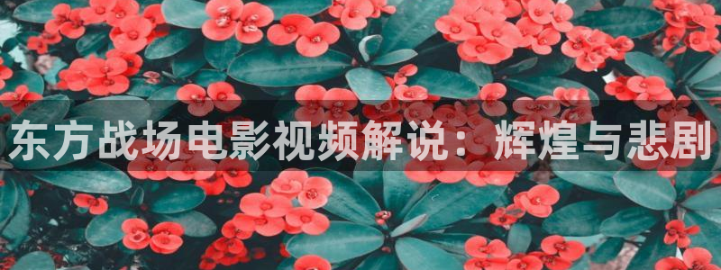 新闻图片